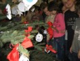 /album/vanoce-ve-skole/vanoce-ve-skole-9-jpg/
